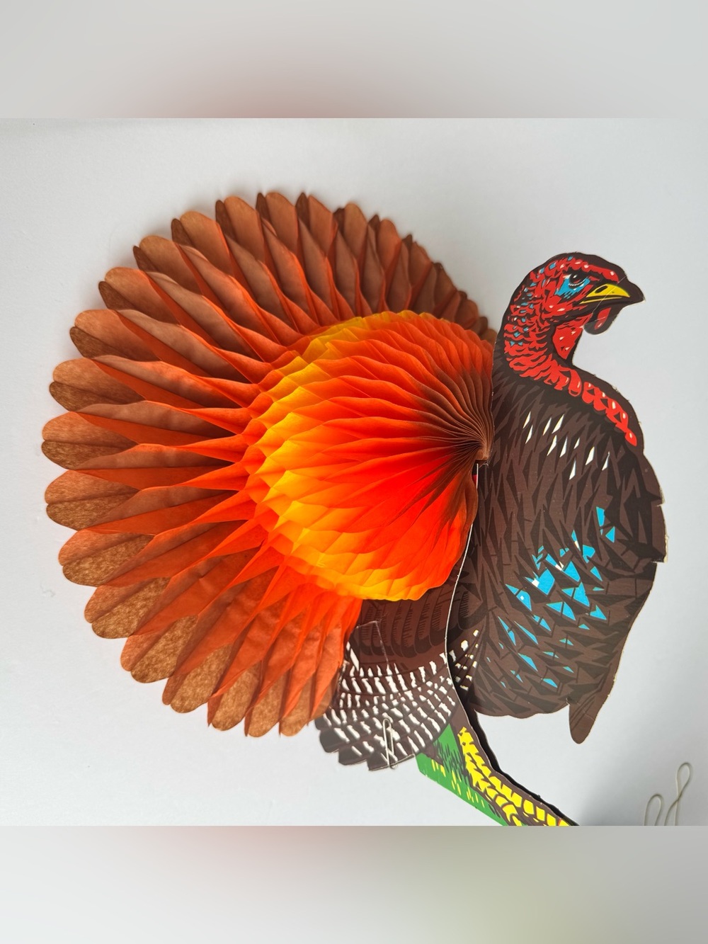 Vintage Honeycomb Thanksgiving Turkey Fold Out Crepe Paper Large